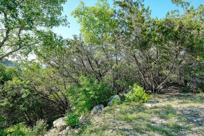 2905 Geronimo Trl, Home with 0 bedrooms, 0 bathrooms and null parking in Austin TX | Image 8