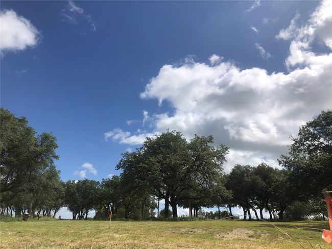 1900 Coleman Ranch Rd, House other with 3 bedrooms, 2 bathrooms and null parking in Tolar TX | Image 16