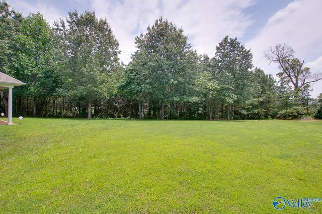 253 Waterbrook Ln, House other with 3 bedrooms, 3 bathrooms and null parking in Harvest AL | Image 44