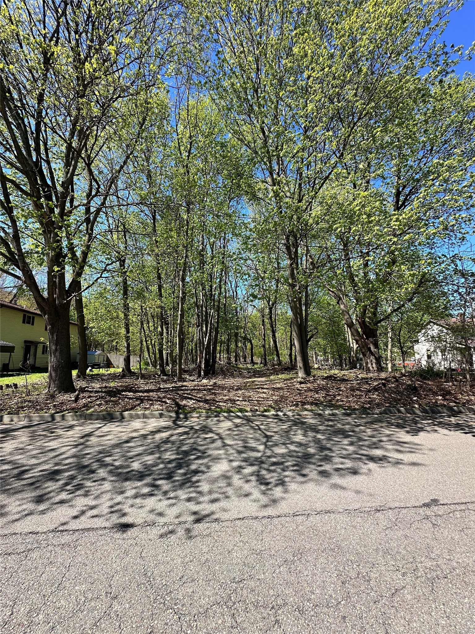 Land in Binghamton 2
