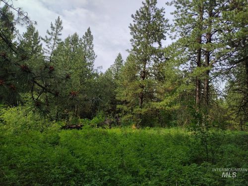 5 Jack Pine Rd, Cottonwood, ID, 83522 | Card Image