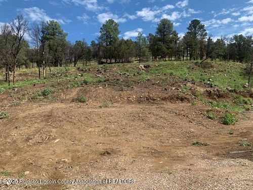 124 Buena Vista Dr, Alto, NM, 88312-8009 | Card Image