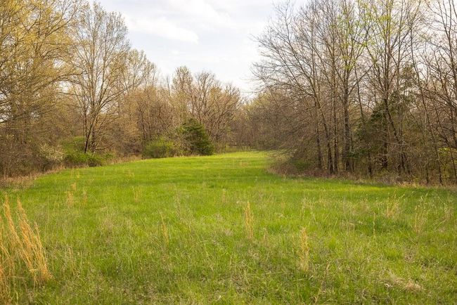 View of local wilderness featuring a wooded view | Image 93