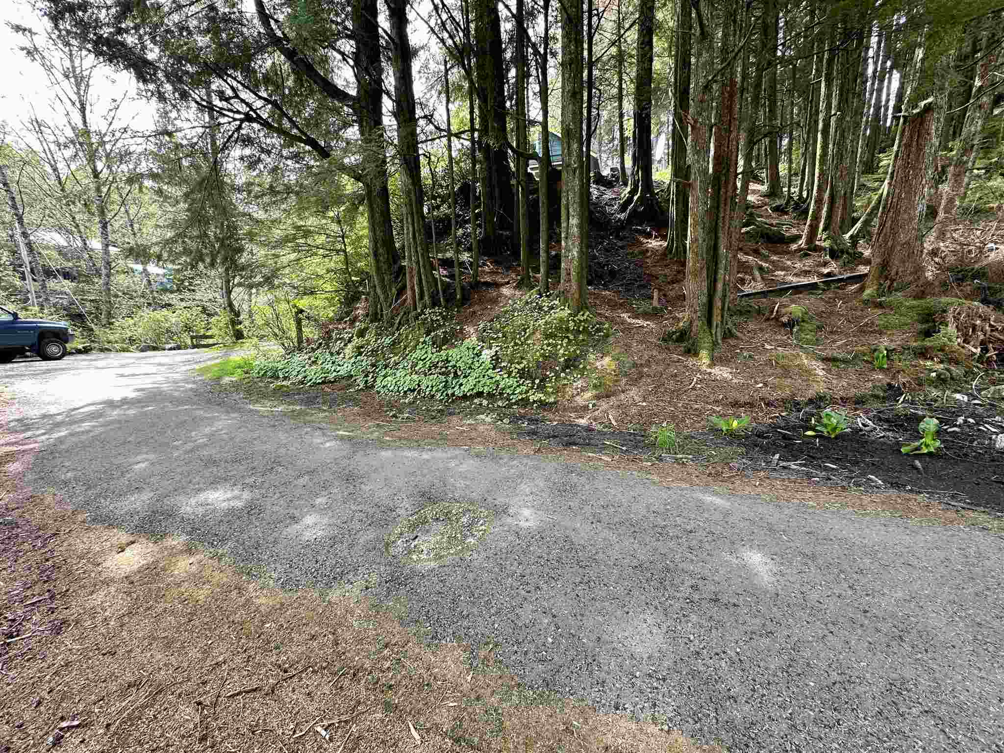 Land in Ketchikan 4