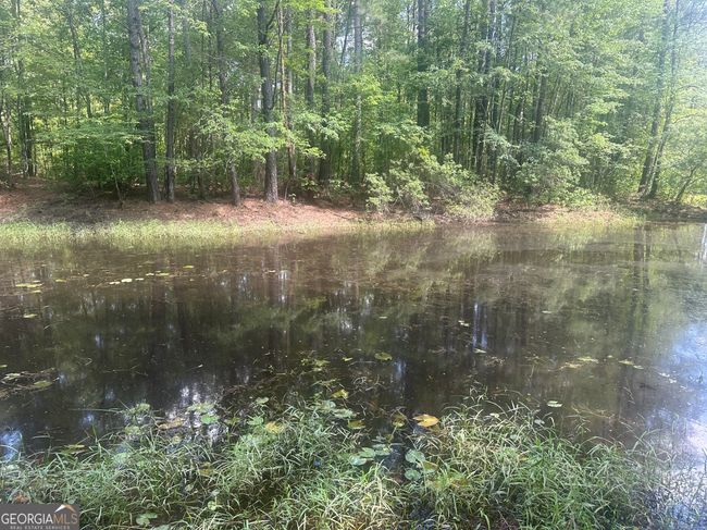 925 Cleary Rd, House other with 3 bedrooms, 2 bathrooms and null parking in Brooklet GA | Image 41