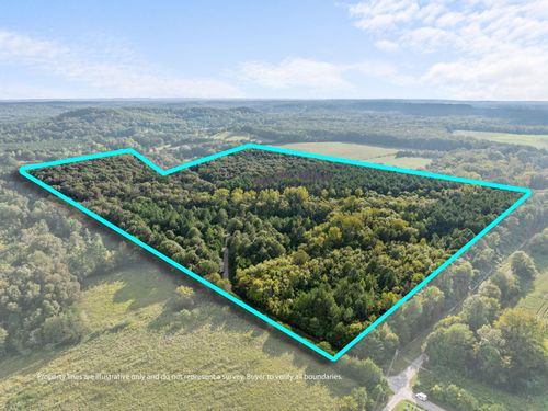 0 County Road 141, Town Creek, AL, 35672 | Card Image