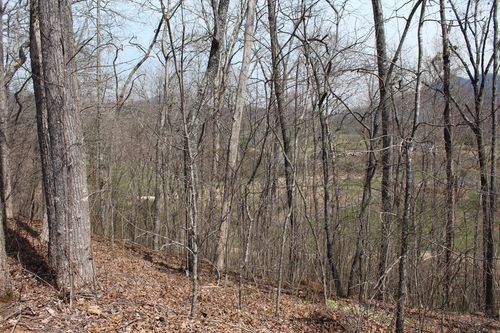 Lot 86A Licklog Ridge, Hayesville, NC, 28904 | Card Image