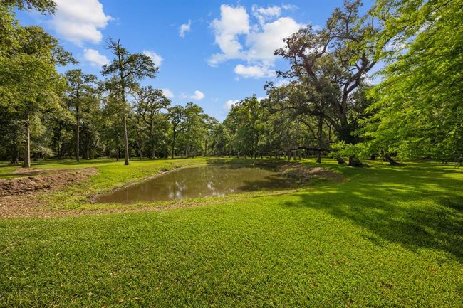 Charming water’s-edge perspective capturing the tranquil pond and verdant lawn. A great spot for observing the frequent wildlife visitors. | Image 36