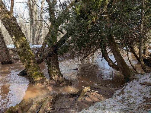 10550 Flagg River Rd, Port Wing, WI, 54865 | Card Image