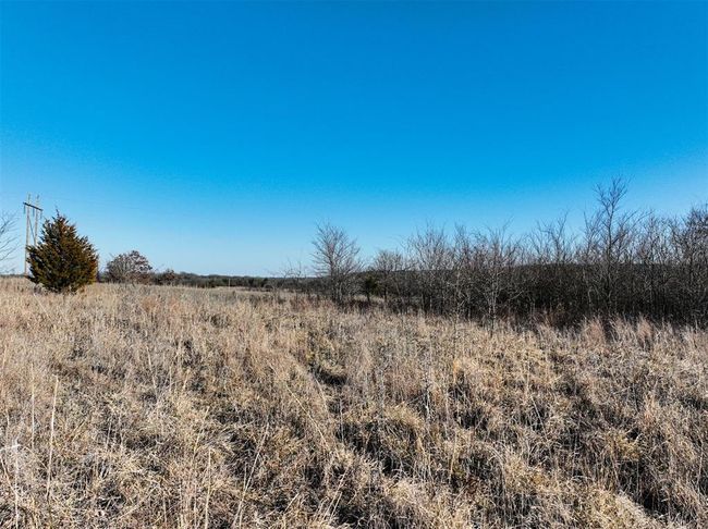 View of local wilderness with a rural view | Image 25