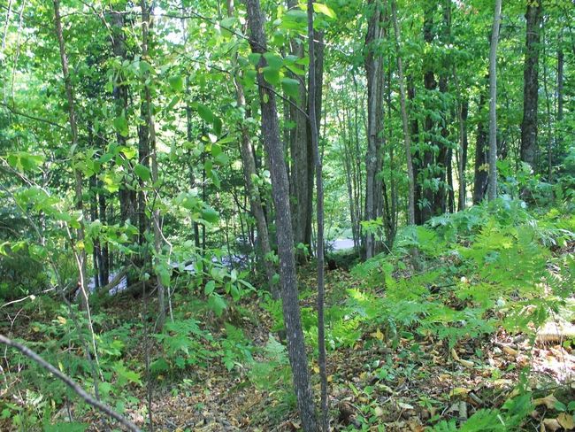Lot 35 N Alpine Dr, Home with 0 bedrooms, 0 bathrooms and null parking in Upson WI | Image 7
