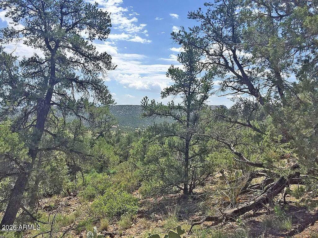 Land in Prescott 5