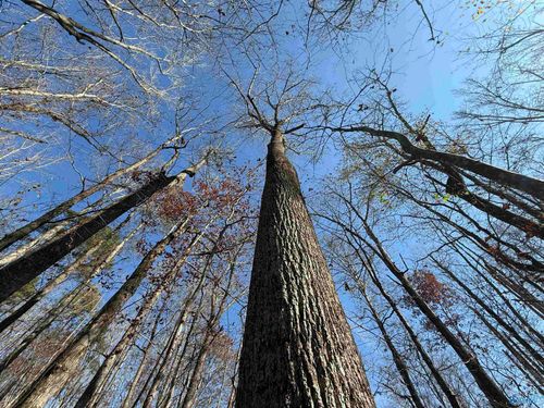 23 AC Tabor Rd, Gadsden, AL, 35904 | Card Image