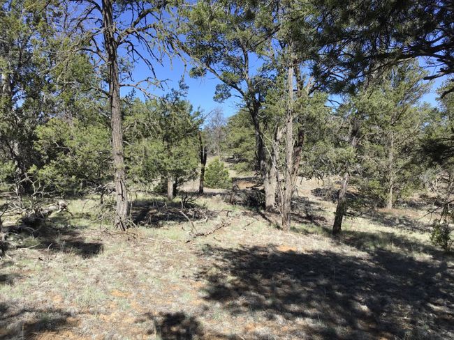 Lot 7 Red Fox Road, Home with 0 bedrooms, 0 bathrooms and null parking in Ramah NM | Image 16