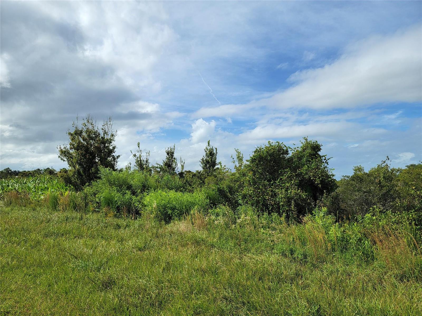 Other in Okeechobee 2