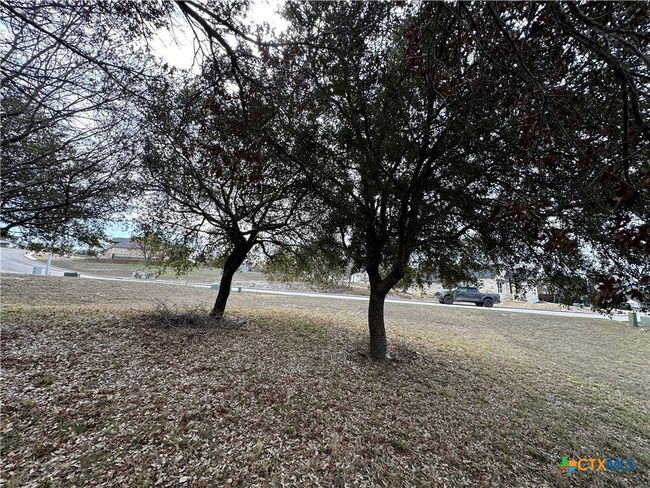 24 Andy's Pt Point, Home with 0 bedrooms, 0 bathrooms and null parking in Burnet TX | Image 12