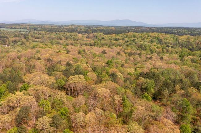 00 Cohutta Beaverdale Rd, Home with 0 bedrooms, 0 bathrooms and null parking in Cohutta GA | Image 20