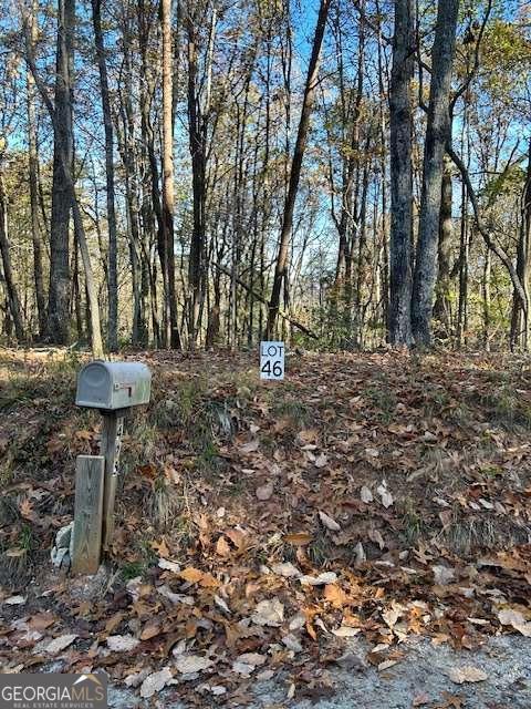 Land in Dawsonville 2