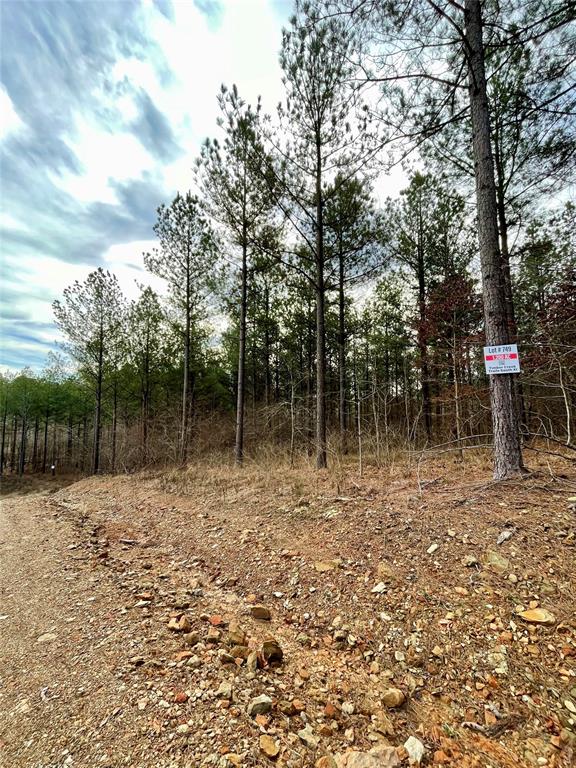Land in Broken Bow 2