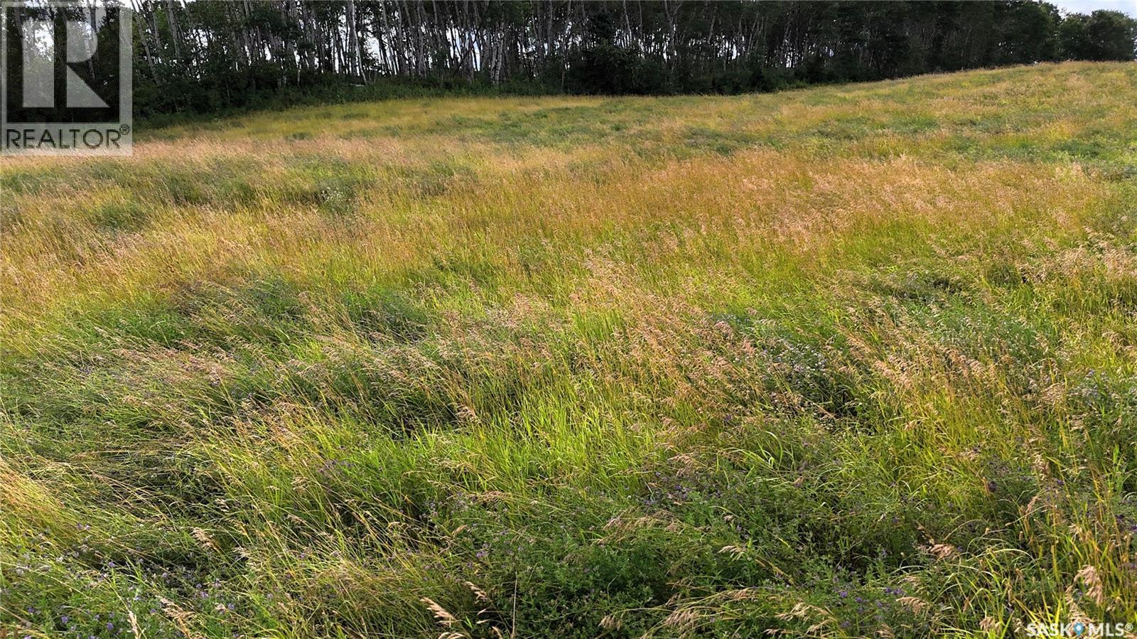 Land in Canwood Rm No. 494 5