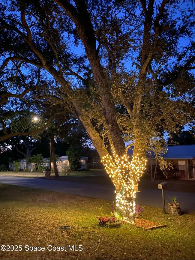 0 - 1785 Orris Ave, House other with 3 bedrooms, 2 bathrooms and null parking in MERRITT ISLAND FL | Image 33