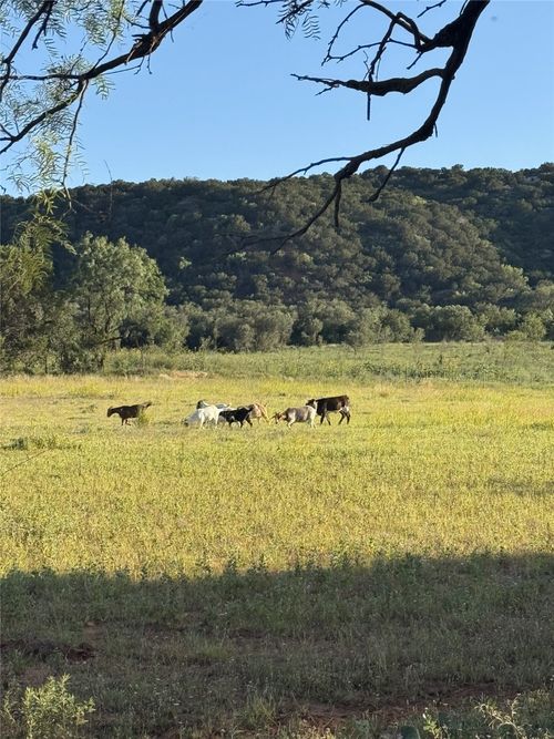 457 County Road 387, Merkel, TX, 79536-6307 | Card Image