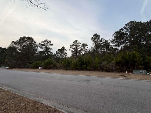 3040 Newcastle Loop, Myrtle Beach, SC, 29588-4501 | Card Image