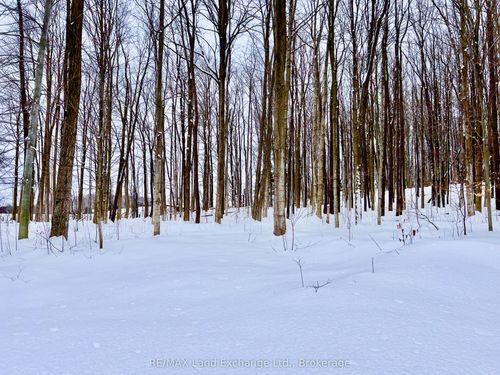 36720 River Rd, Lucknow, ON, N0G2H0 | Card Image