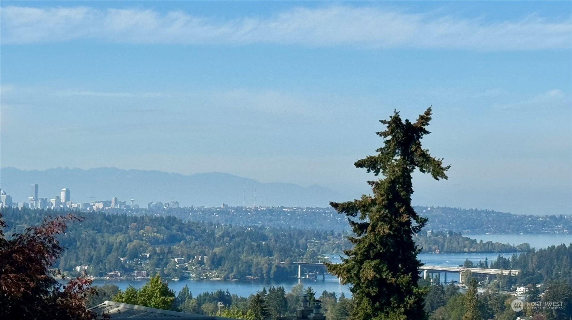 46th St, Bellevue, WA 98006