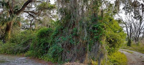 63 N Sheltering Oaks Dr, INVERNESS, FL, 34453-1219 | Card Image