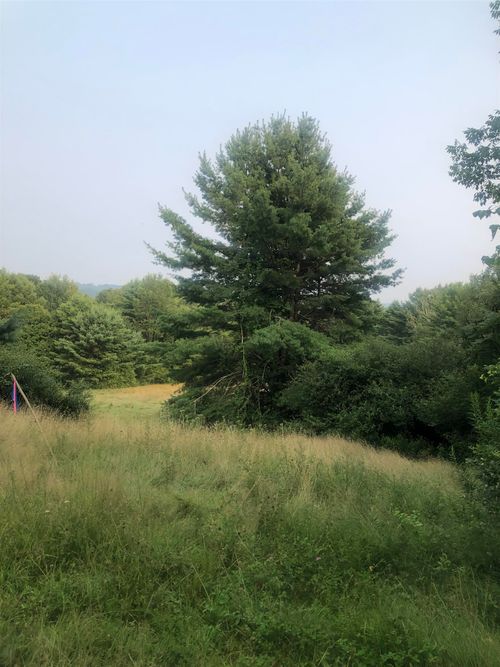 Lot 4 Belvedere Rd, Gilsum, NH, 03448 | Card Image