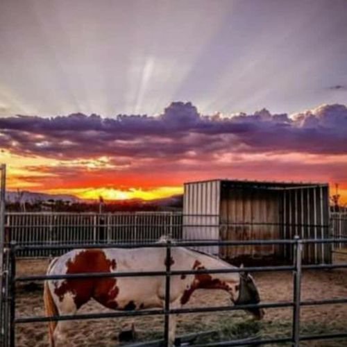 58562 Applegate Way, Landers, CA, 92285 | Card Image