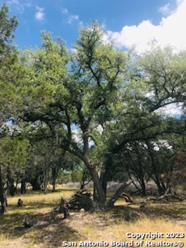 26 Mustang Crossing Dr, Home with 0 bedrooms, 0 bathrooms and null parking in Pipe Creek TX | Image 8