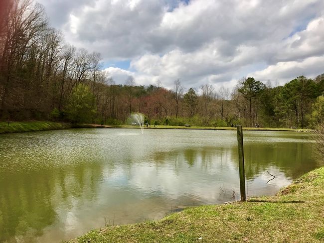 C236 Ogden Dr, Home with 0 bedrooms, 0 bathrooms and null parking in Ellijay GA | Image 12