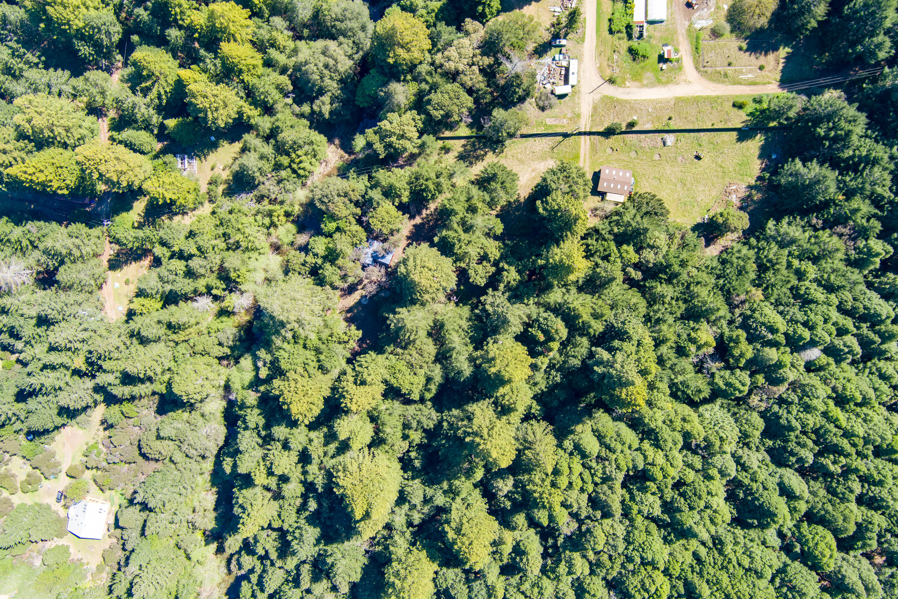 Residential in Whitethorn 3