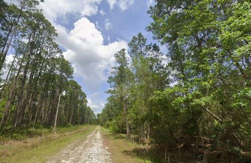138 Mosswood St, Georgetown, FL, 32139-2818 | Card Image