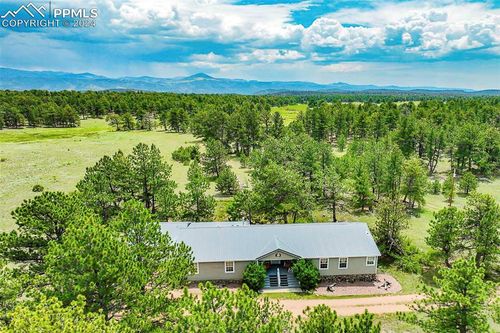 1190 Doe Valley Road, Guffey, CO, 80820 | Card Image