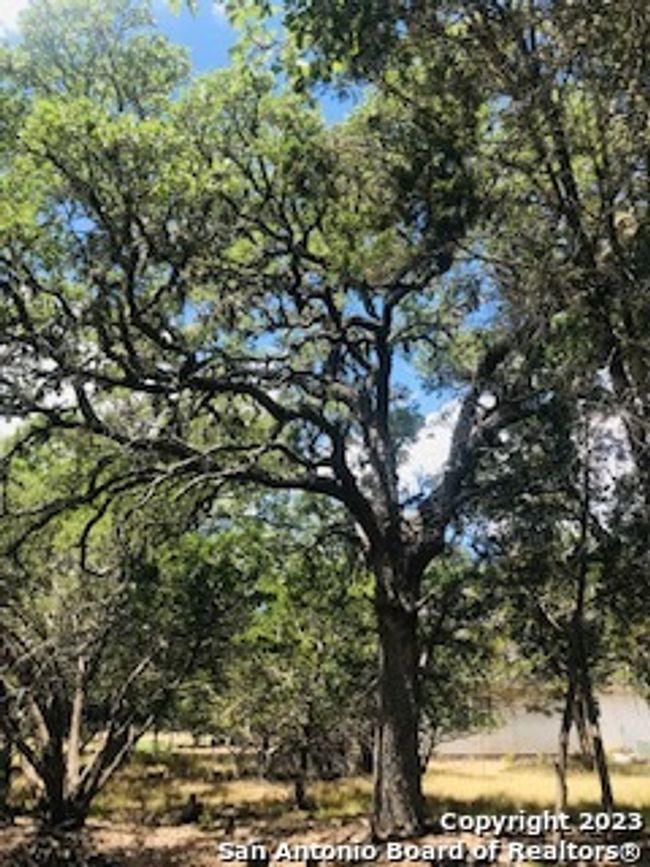 26 Mustang Crossing Dr, Home with 0 bedrooms, 0 bathrooms and null parking in Pipe Creek TX | Image 16