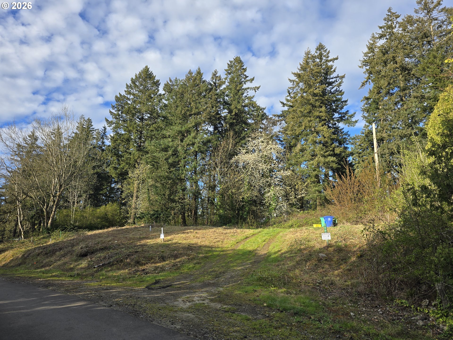 Land in Portland 2