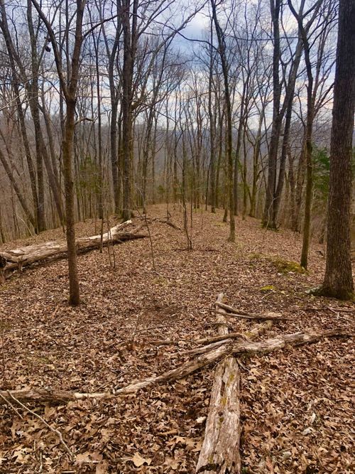 0 Simpkins Rd, Whites Creek, TN, 37189 | Card Image