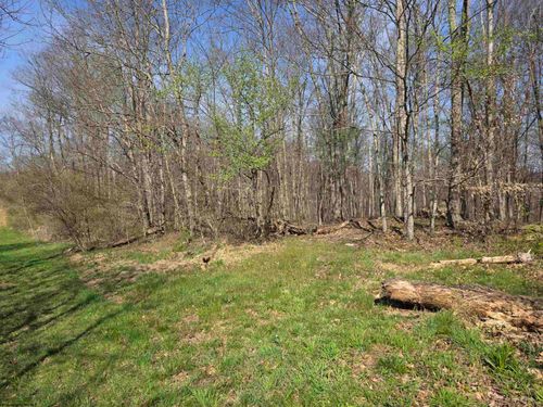 Lot 17, 18 &19 Poplar Dr, Grafton, WV, 26354 | Card Image