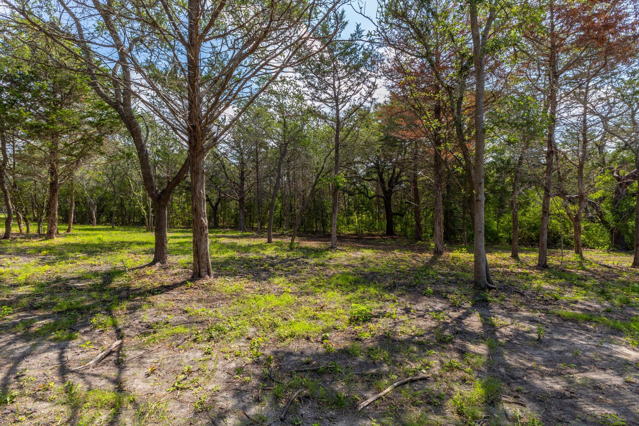 Land in Flatonia