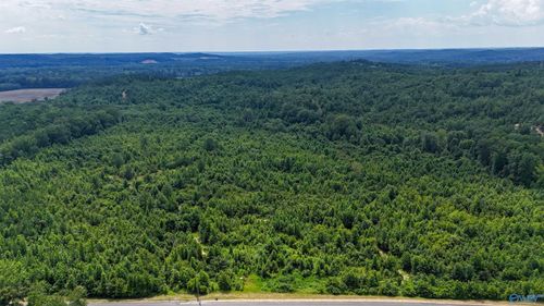139 ACRES County Road 87, Vina, AL, 35593 | Card Image