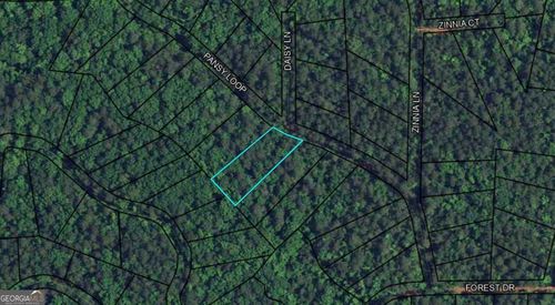 BLK 79 LOT 07 Pansy Loop, Waverly Hall, GA, 31831-4112 | Card Image