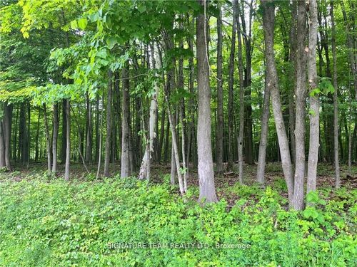 Lot 1 Point Rd, White Lake, ON, K0A | Card Image