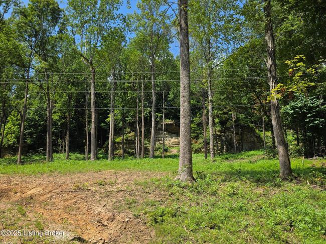 1 Cave Creek Rd, Home with 0 bedrooms, 0 bathrooms and null parking in Falls Of Rough KY | Image 8