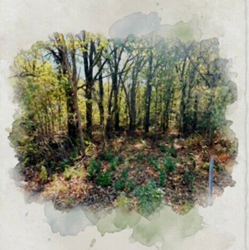 207 Acres Loop, Gun Barrel City, TX, 75156 | Card Image