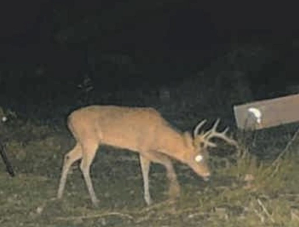 Land in Uvalde 5