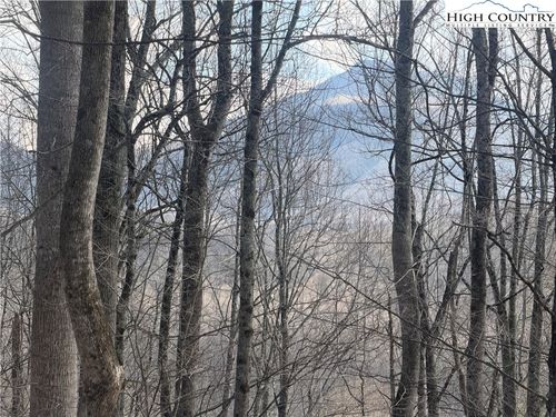 TBD Lot 17 Carefree Cove Road, Zionville, NC, 28698 | Card Image