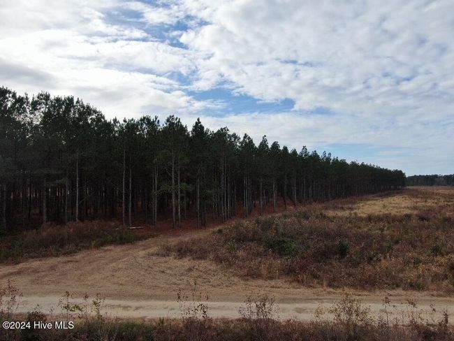 55618 Nc 210 Hwy, Home with 0 bedrooms, 0 bathrooms and null parking in Currie NC | Image 16